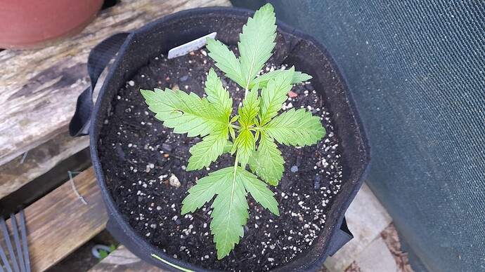 Growreport Bild 15