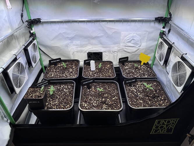 Growreport Bild 12