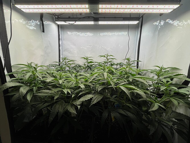 Growreport Bild 6