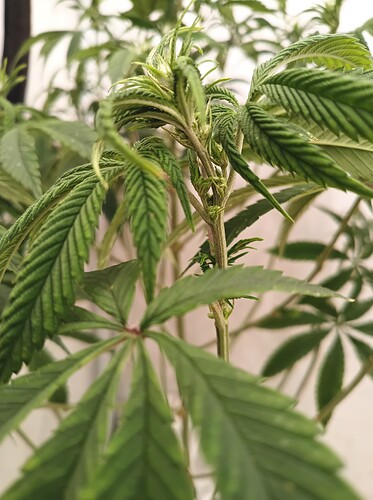 Growreport Bild 7