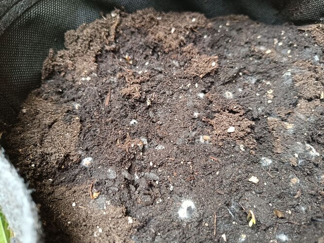 photo_2024-03-31_17-04-27