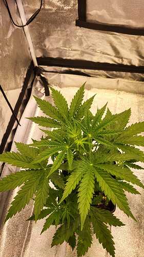 Growreport Bild 23