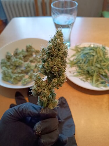 Growreport Bild 21