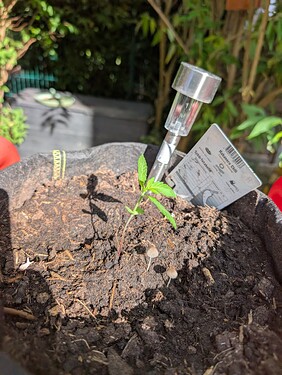 Growreport Bild 13