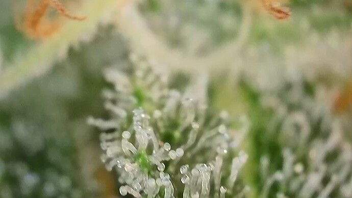 Growreport Bild 24