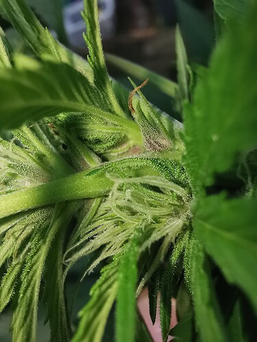 Growreport Bild 4