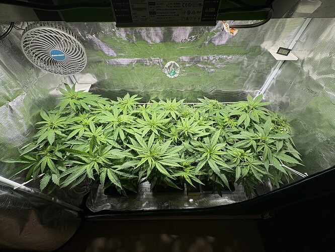 Growreport Bild 8