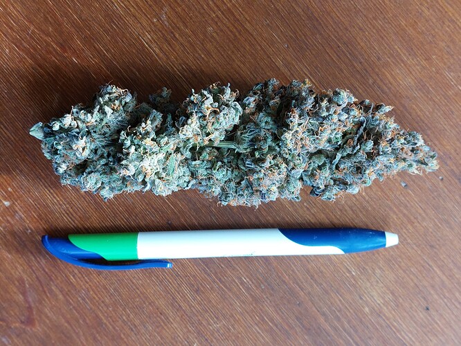 Growreport Bild 14