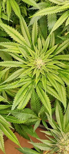 Growreport Bild 23