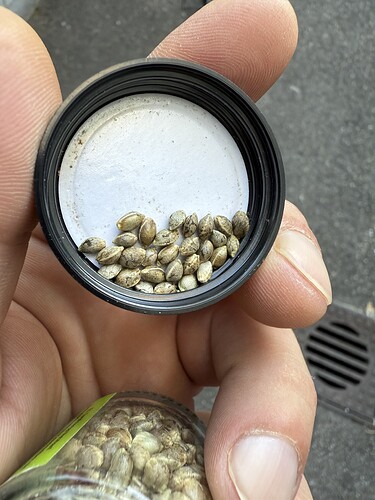Growreport Bild 53