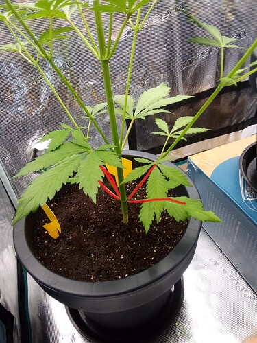 Growreport Bild 5
