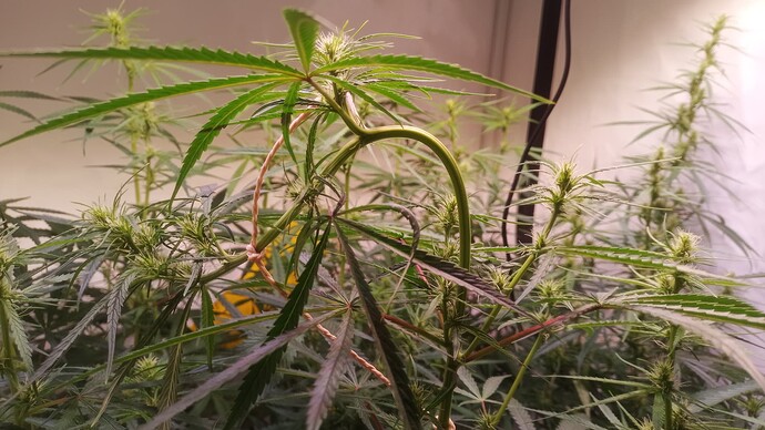 Growreport Bild 21