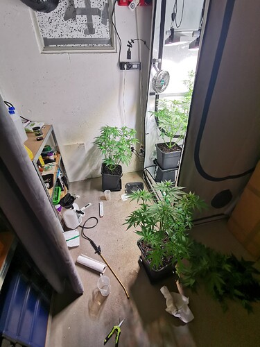 Growreport Bild 12