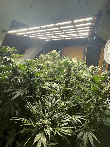 Growreport Bild 7