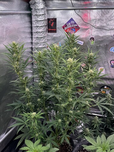 Growreport Bild 21