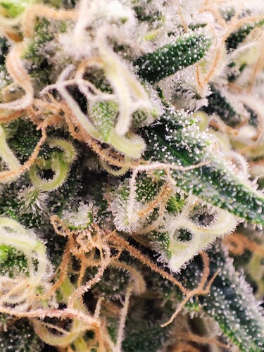 Growreport Bild 17