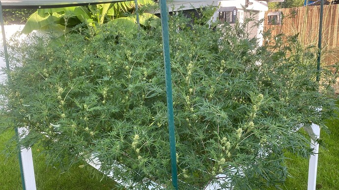 Growreport Bild 21