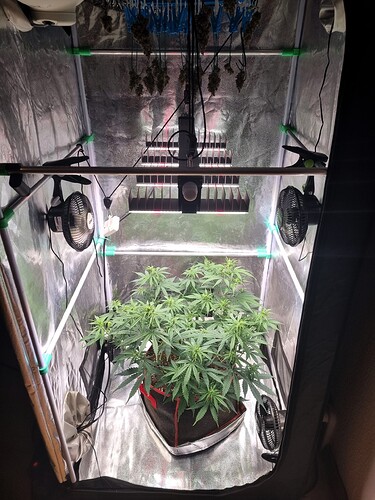 Growreport Bild 47