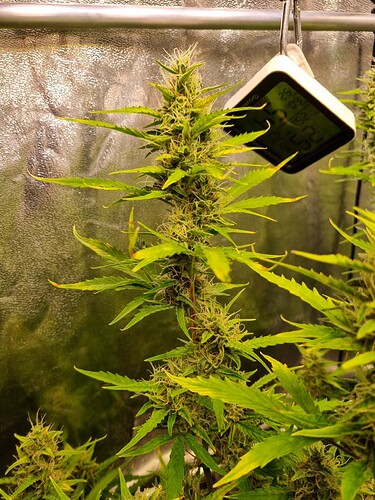 Growreport Bild 23