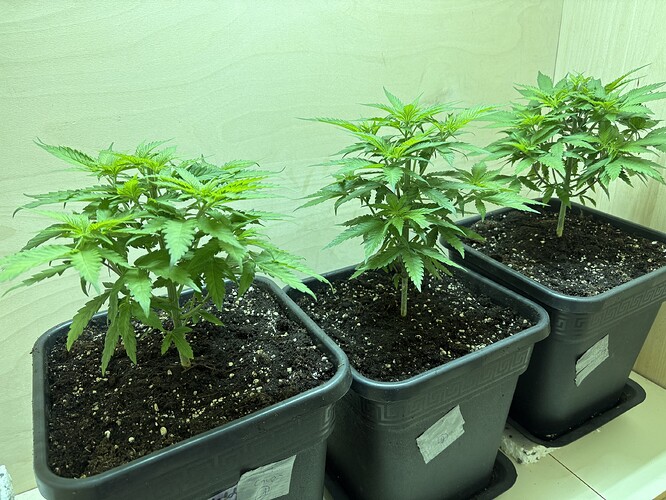 Growreport Bild 18