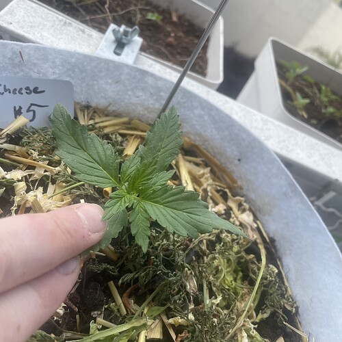 Growreport Bild 12