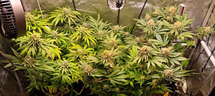 Growreport Bild 16