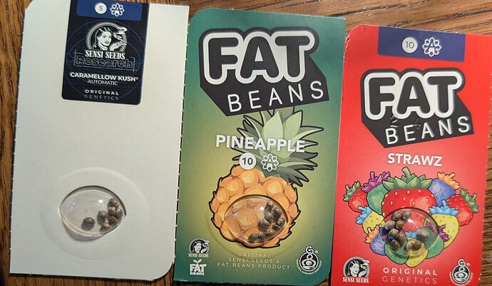 PXL_20250301_165929085