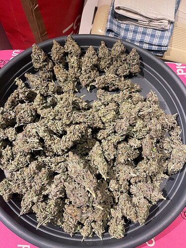 Growreport Bild 60