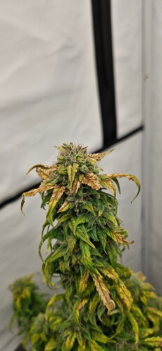 Growreport Bild 22