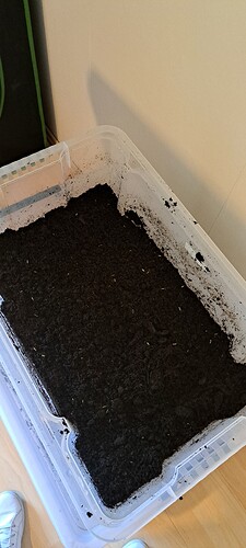 Growreport Bild 10
