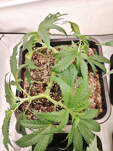 Growreport Bild 11