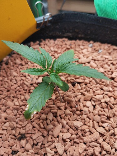 Growreport Bild 11