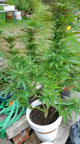 Growreport Bild 11