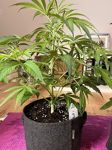 Growreport Bild 4