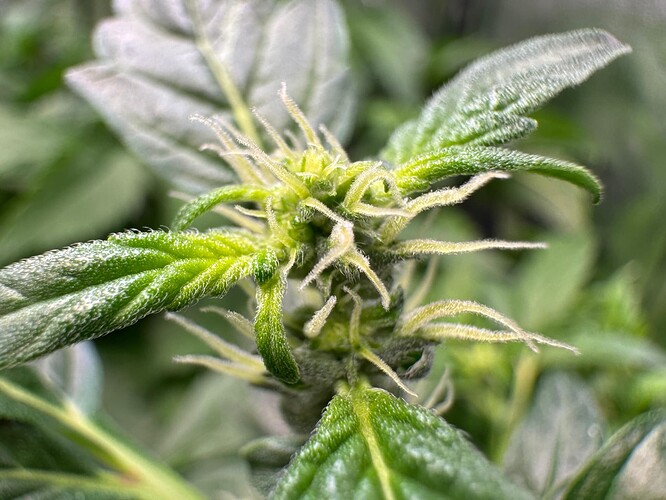 WhatsApp Image 2024-07-02 at 19.33.39 (1)