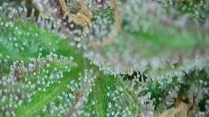 2025-10-06-102035353