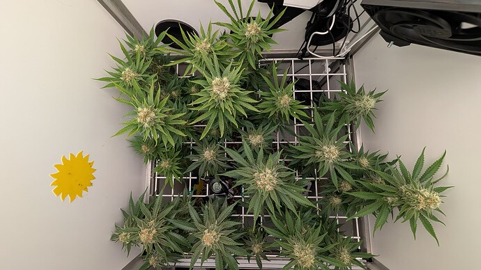 Growreport Bild 12