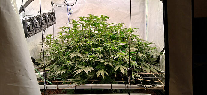 Growreport Bild 6