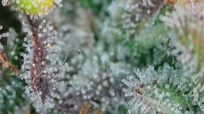 Growreport Bild 18