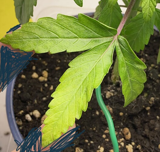 Growreport Bild 30