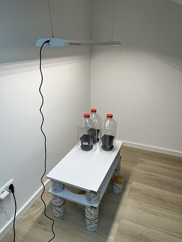 Growreport Bild 3