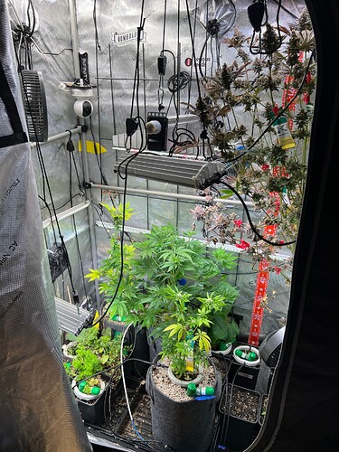 Growreport Bild 11