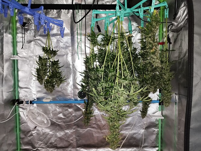 Growreport Bild 16