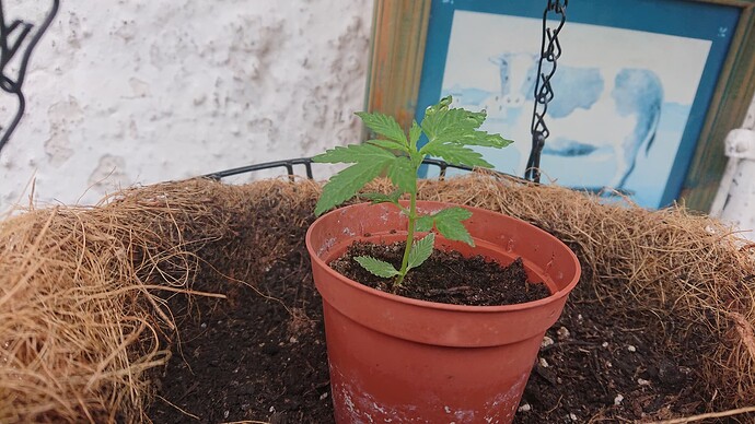 Growreport Bild 12