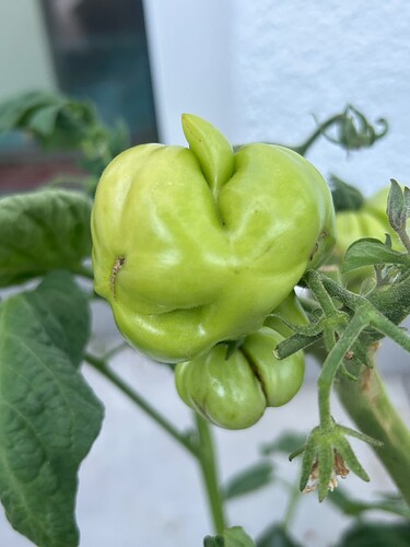 Growreport Bild 2