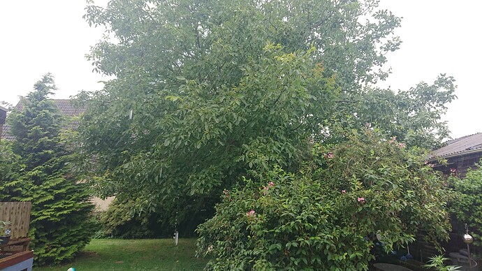 Growreport Bild 24