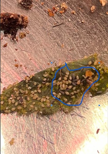 Bildschirm­foto 2024-02-27 um 16.05.25