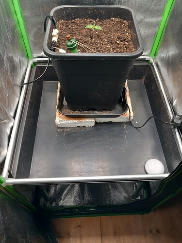 Growreport Bild 3