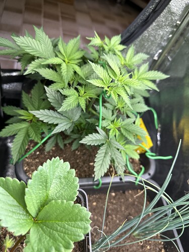 Growreport Bild 22
