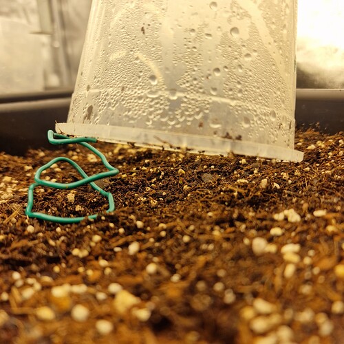 Growreport Bild 9